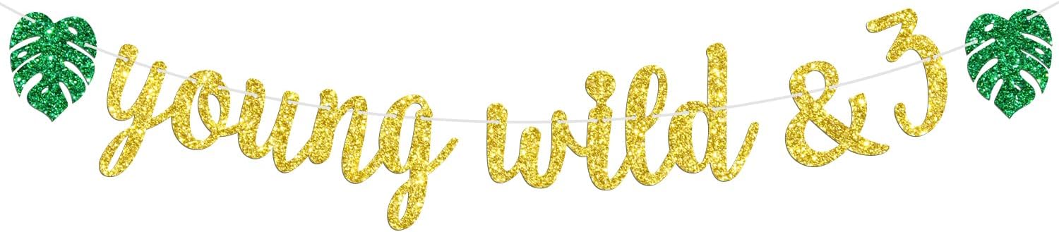 Young Wild and Three Banner, Boys Girls 3rd Birthday Banner, Jungle Wild Safari Zoo Themed Glittery Happy 3rd Birthday Party Decorations Supplies