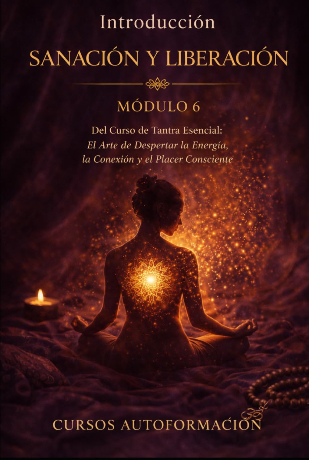 SANACIÓN Y LIBERACIÓN: Curso de Tantra Esencial: El Arte de Despertar la Energía, la Conexión y el Placer Consciente (VOLUMEN 6)