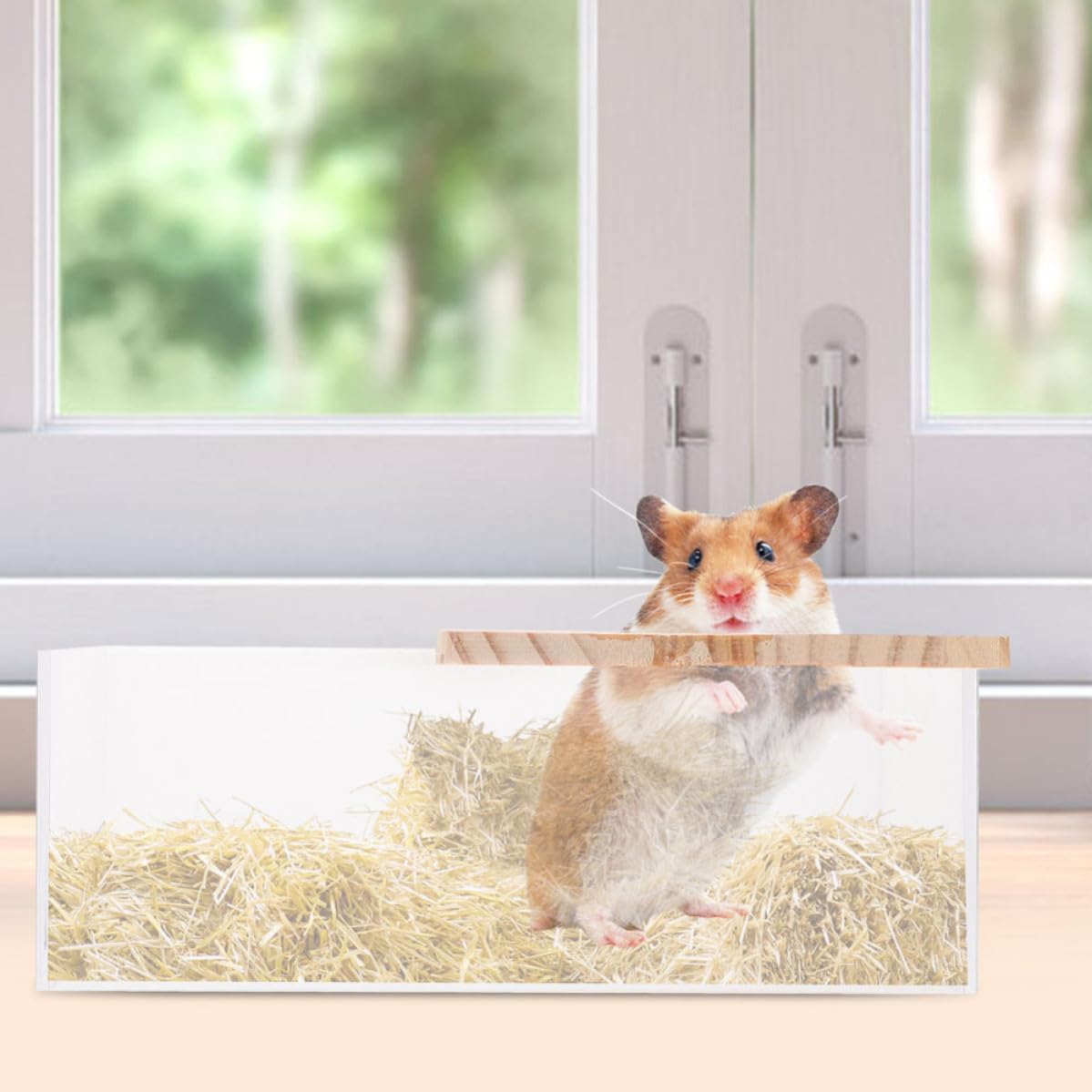 2 Stück Acryl Hamster Sandbad mit Halbem Deckel Transparente Kleintier Badewanne 20x15x8cm Glatte Kanten Multifunktionale Sandkastenbox für Hamster Rennmäuse und Chinchillas