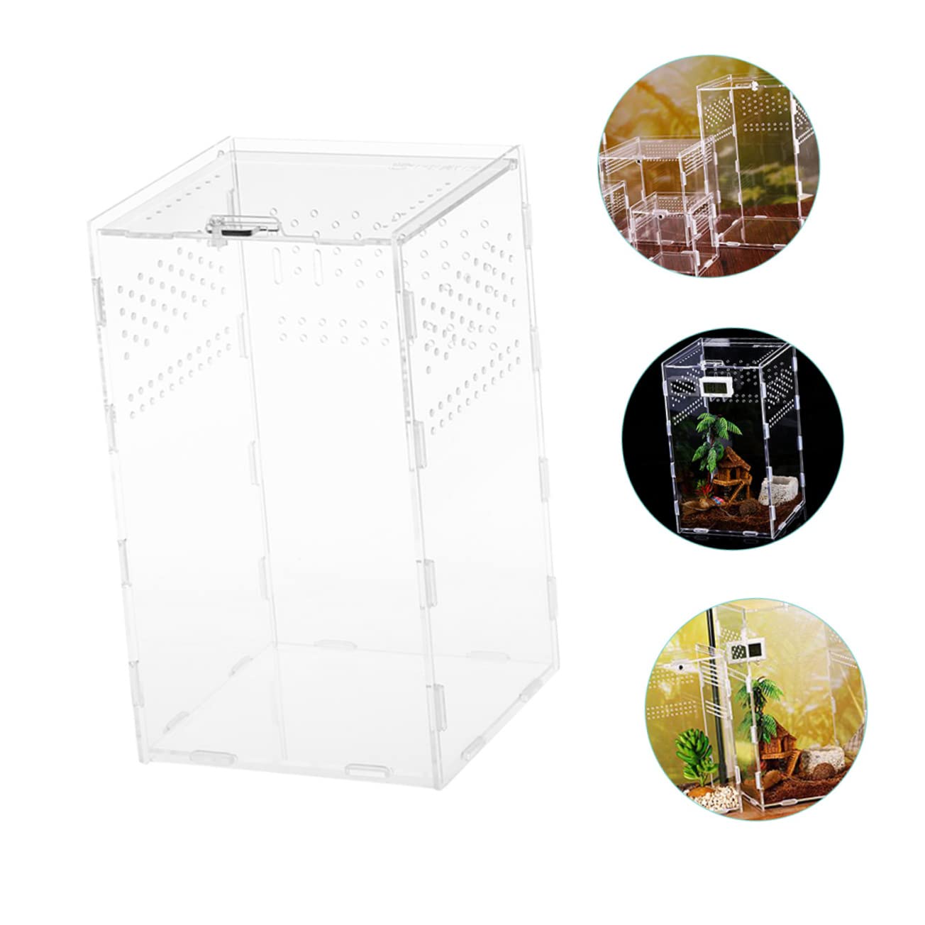 ibasenice Terrarium Magnetische Fütterungsbox für Reptilien aus Acryl mit Konstantem Luftstrom und Durchsichtige Zuchtbox für Schnecken und Frösche im Terrarium Zubehör