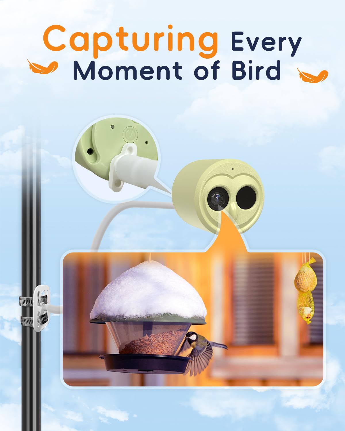 Hibird - Telecamera per bird watching 5G, intelligenza artificiale intelligente per identificare e catturare automaticamente oltre 10000 specie di uccelli, IP66, mini telecamera wireless con pannello