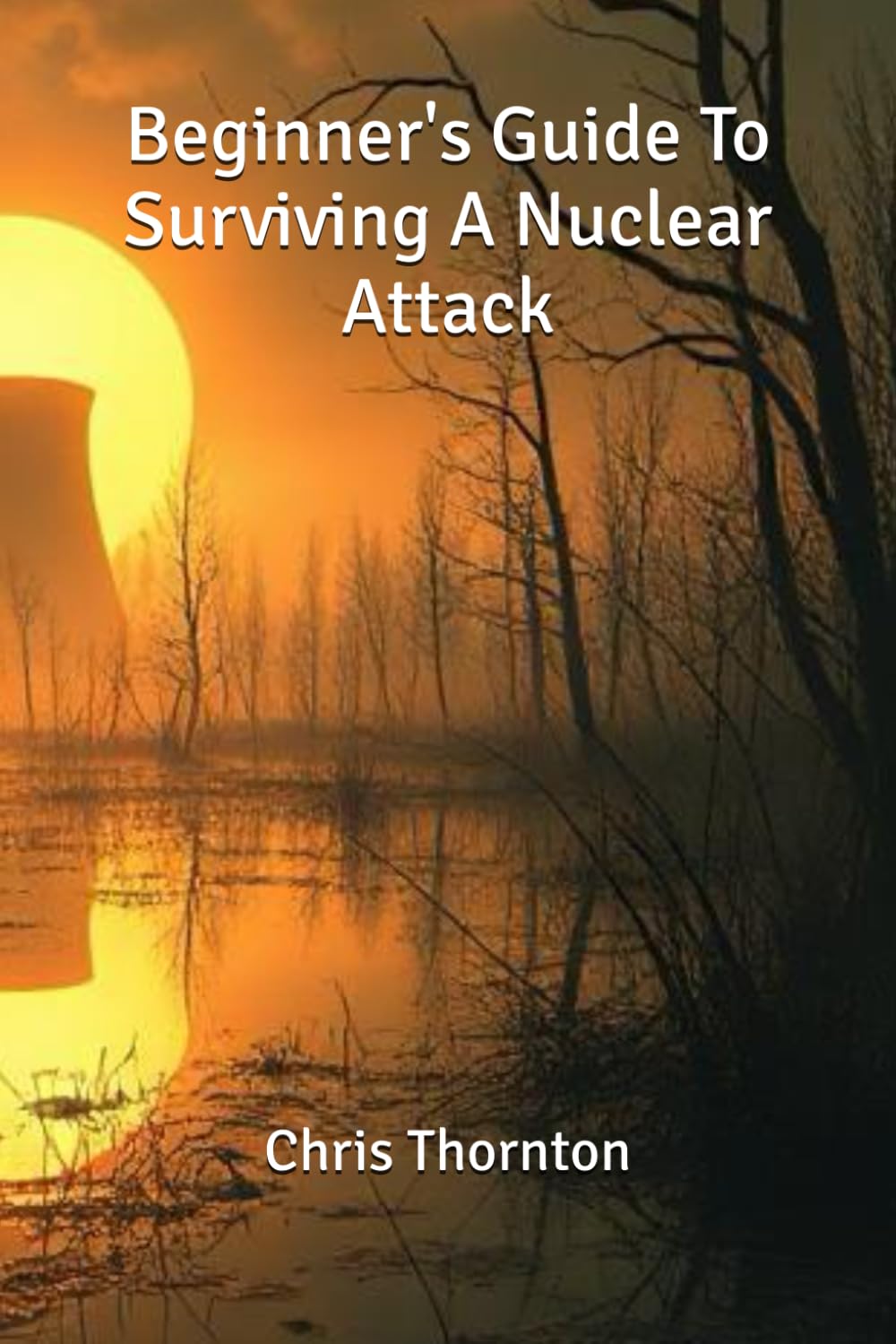 Beginner's Guide To Surviving A Nuclear Attack