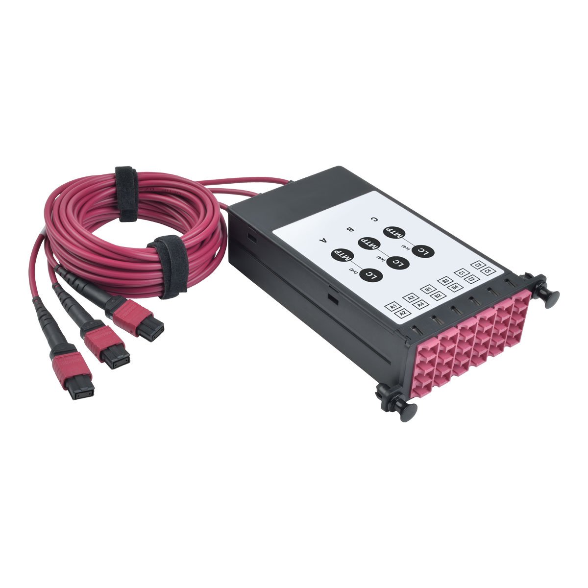 Tripp Lite OM4 40 GB to 10 GB Fiber Optic Cassette x3 8-Fiber OM4 MTP/MPO to x12 LC Duplex (N482-3M8