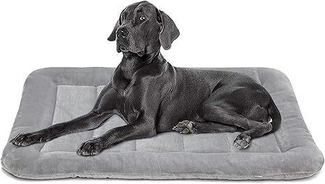 42 dog crate bed Clearance