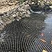 AquaOne Teichnetz feinmaschig 6x6m I Teichabdeckung für laubfreien Teich I vielseitiges Netz in schwarz I Abdecknetz mit 20 Spießen ISchutznetz für Gartenteich Baby,Schwarz günstig Kaufen-AquaOne Teichnetz feinmaschig 6x6m I Teichabdeckung für laubfreien Teich I vielseitiges Netz in schwarz I Abdecknetz mit 20 Spießen ISchutznetz für Gartenteich