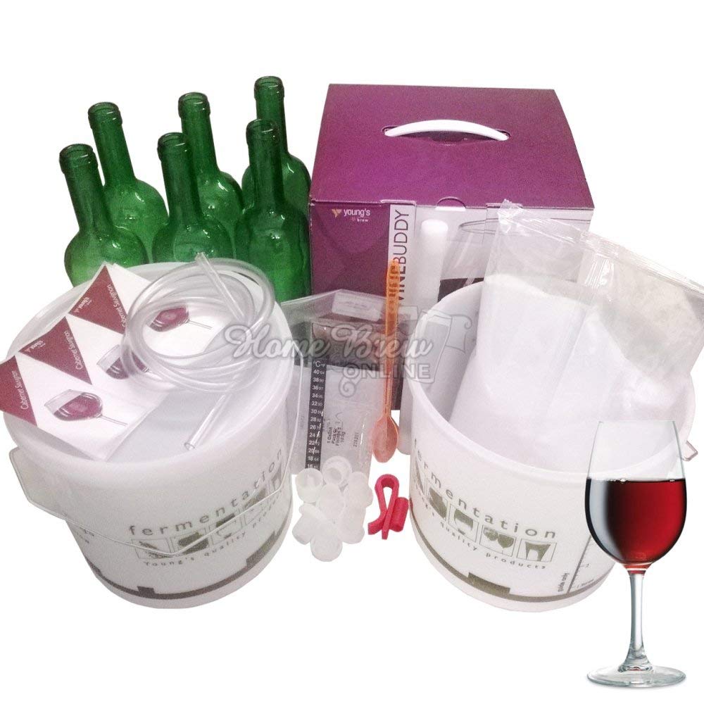 Cabernet Sauvignon Complete Home Brew Starter Kit with Green Glass Wine Bottles and Brewing Sugar