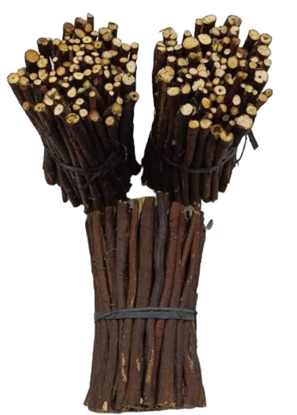 Zooberary Zaitoon Olive Herbal Miswak Natural olive stick for, Adult Toothbrush Sticks | Datun Chewing Sticks | Healthy Eco Friendly Toothbrush | Pack Of 30-image-12