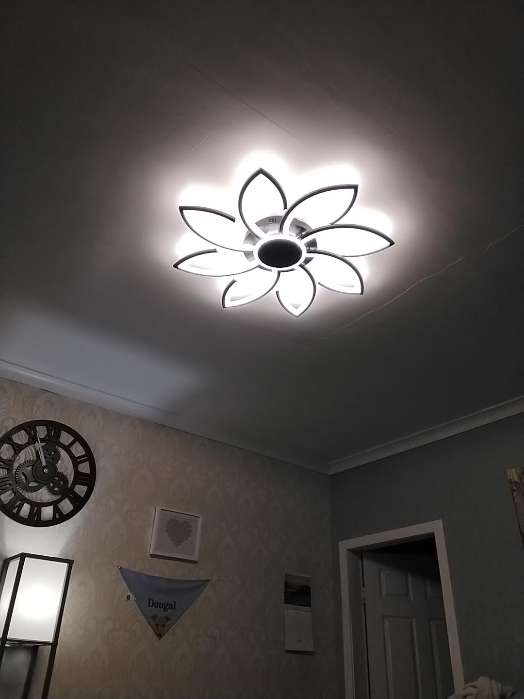 Customer photo