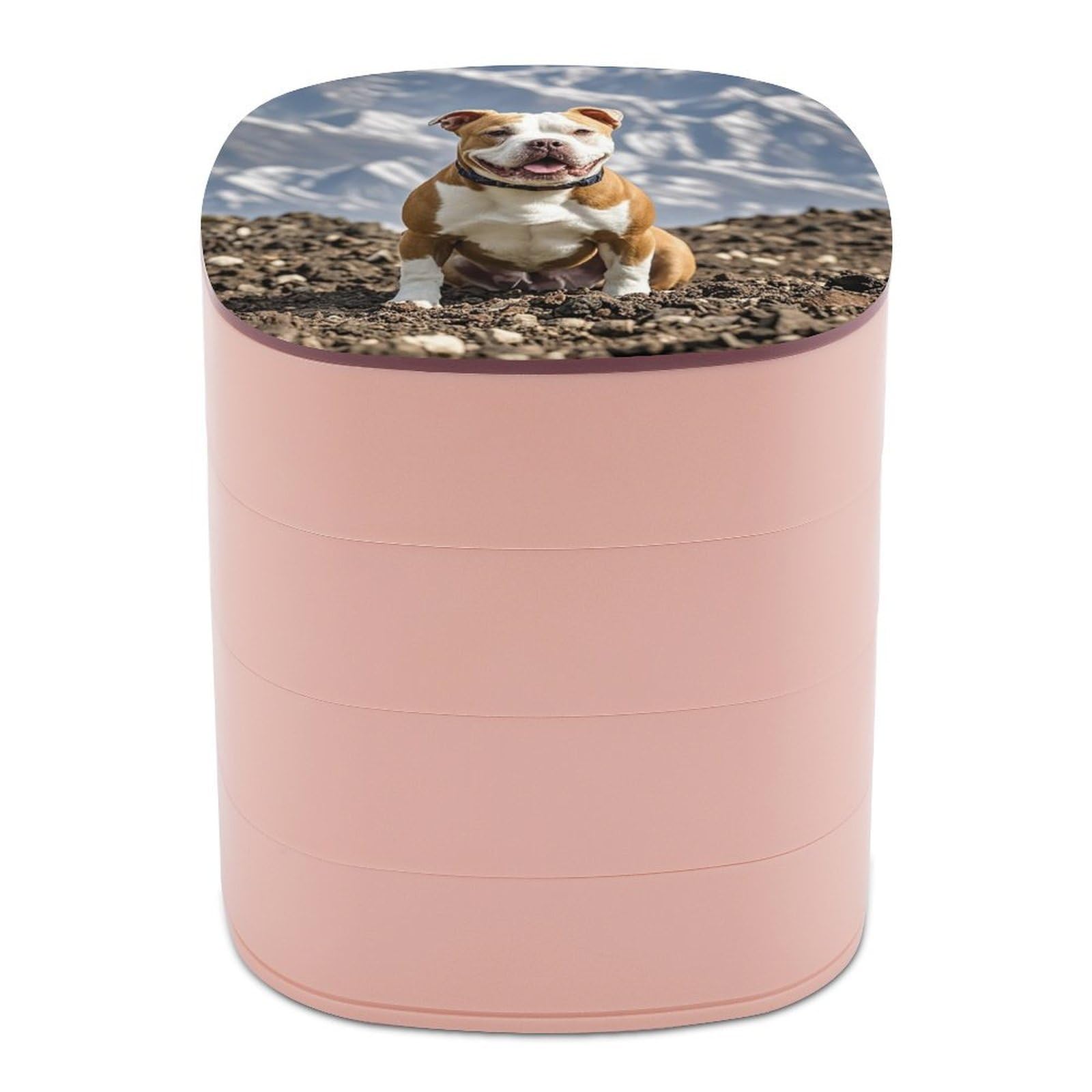 VstaDank Pitbull Dogs Jewelry Box 360° Rotatable Jewelry Organizer 4 Layers Jewelry Case with Lid Fashion Portable Earring Holder for Bracelets Rings Bracelets Vanity