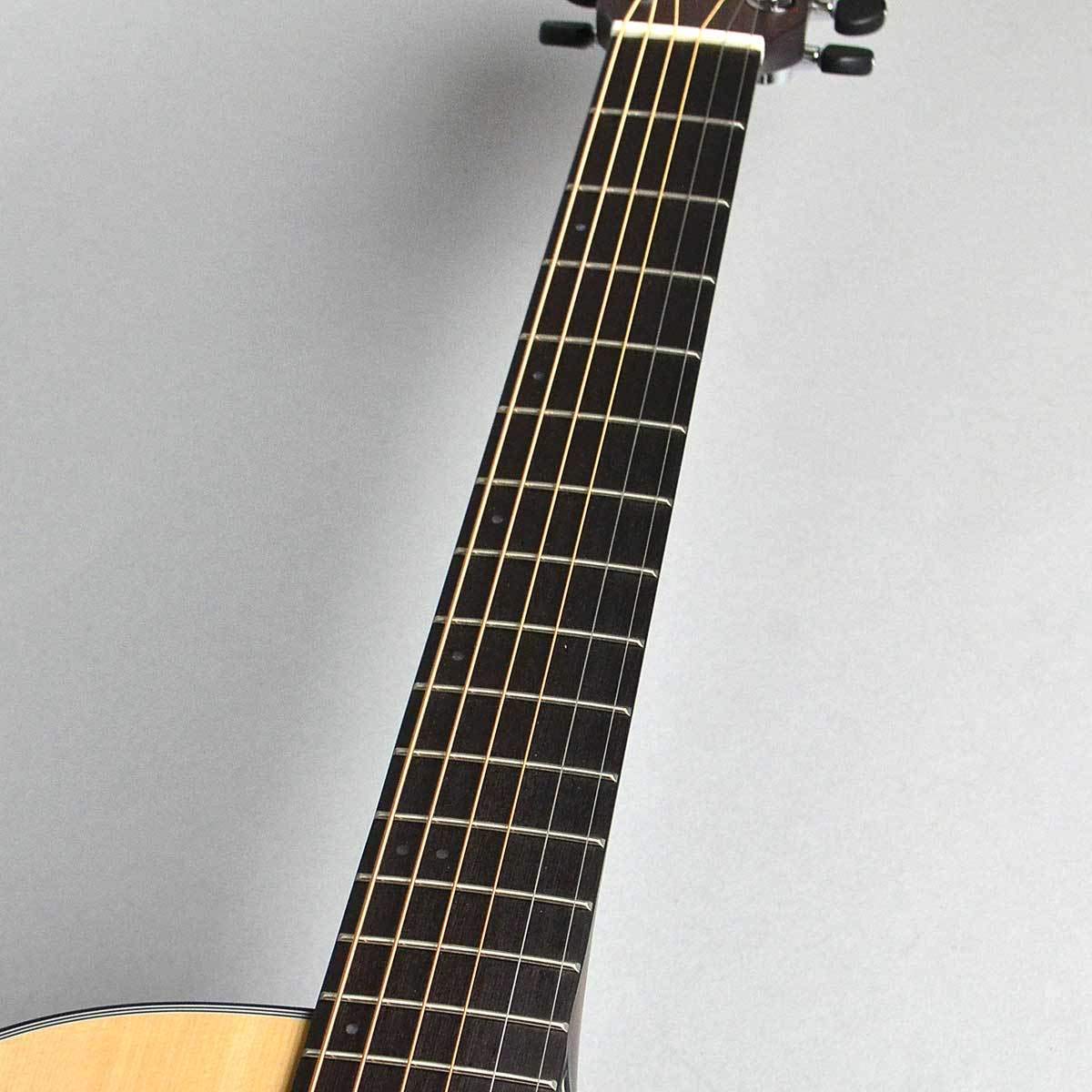 James J-ACDM 南澤大介シグネチャーモデル エレアコ 純正ギグバッグ付