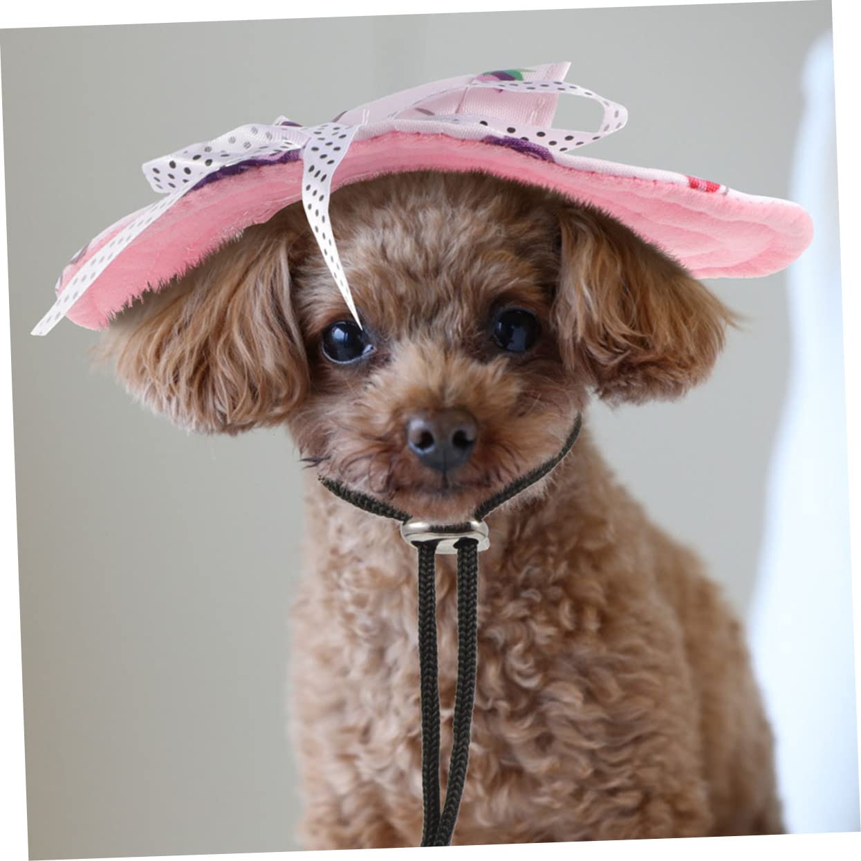 Casco Sicurezza Cani Minkissy Cappello Parasole Per Cani - Caschetto Di Sicurezza, Morbido E Imbottito, Taglia Piccola 4 Pollici Cappello Imbottito