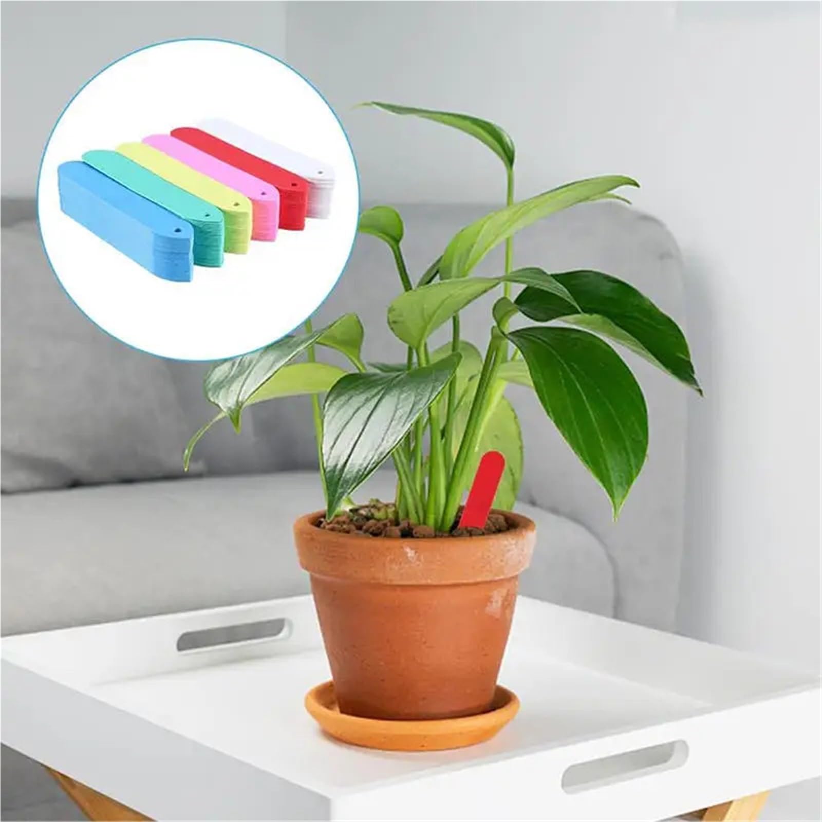 150er-Pack wiederverwendbare Pflanzenetiketten for Gartenpfähle