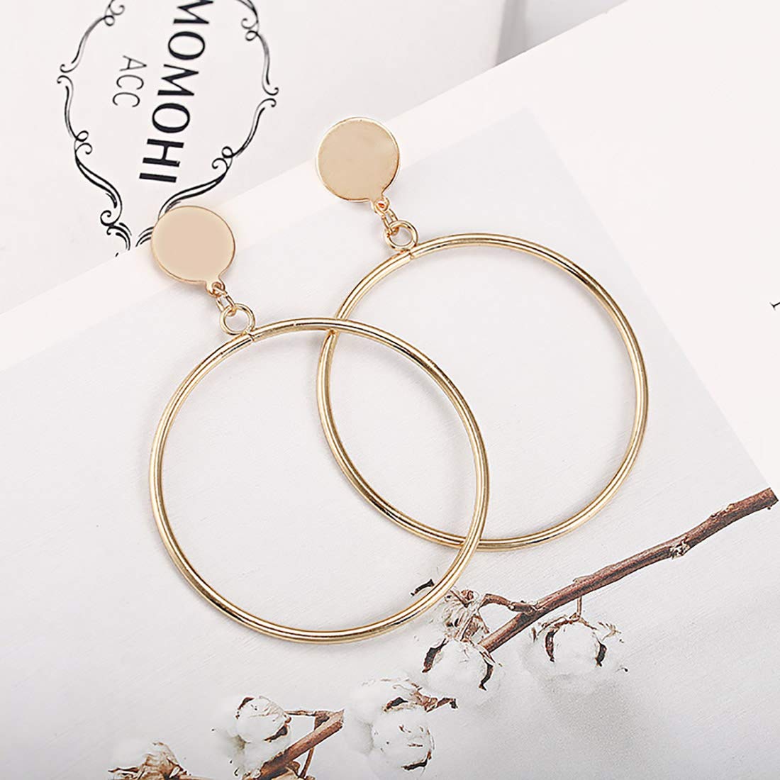 Round Plated Hoop Earrings - CT-ERGG-45063