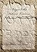 Beyond the Hebrew Lexicon Manual/Workbook: Learn To Do Hebrew Word Studies That Take You Beyond the Lexicon