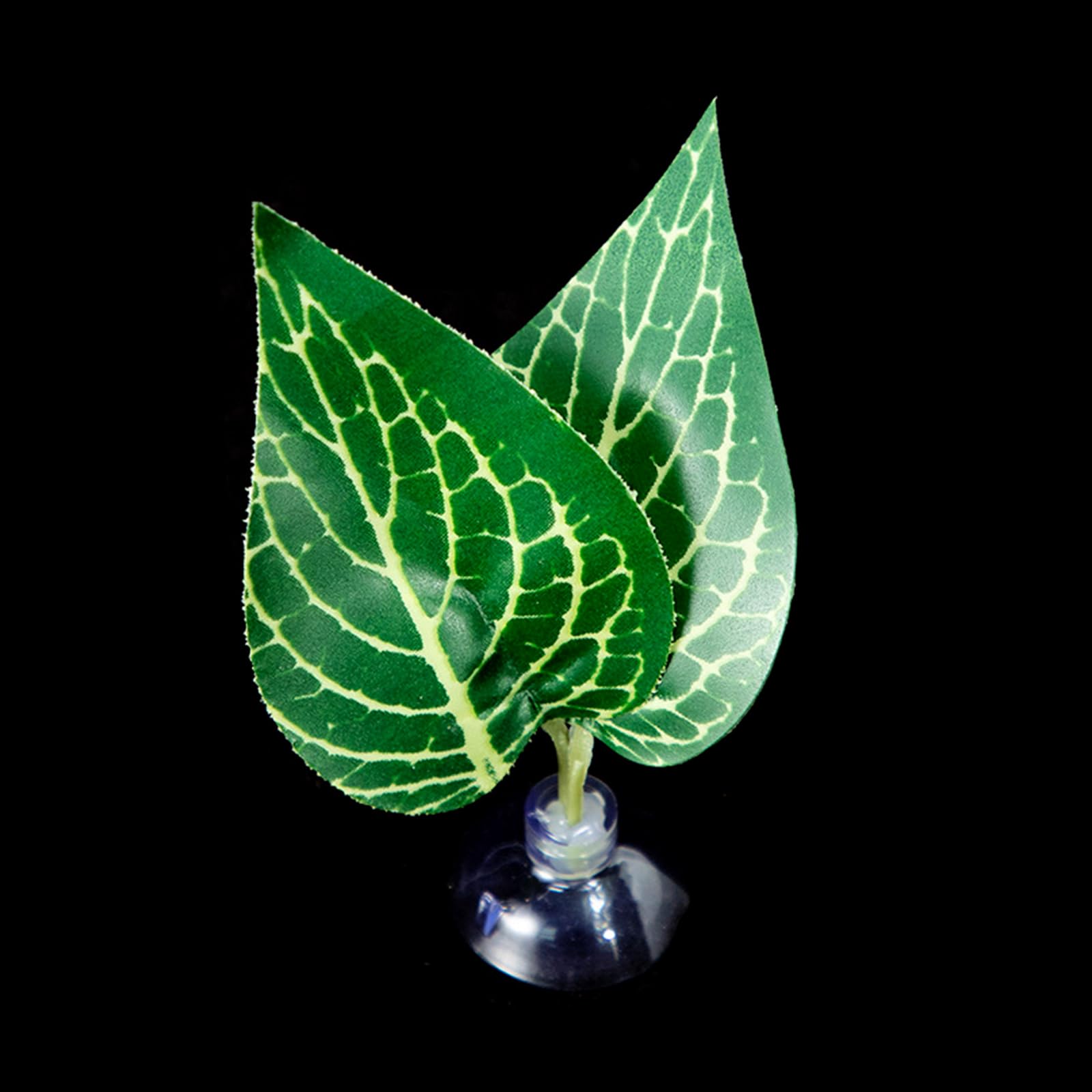 FGDTREE Bettas Fish Bed Simulation Hammock Bed Rest Habitats Fishtanks Spawning Grounds Suction Cup Resting Fishtanks Landscape