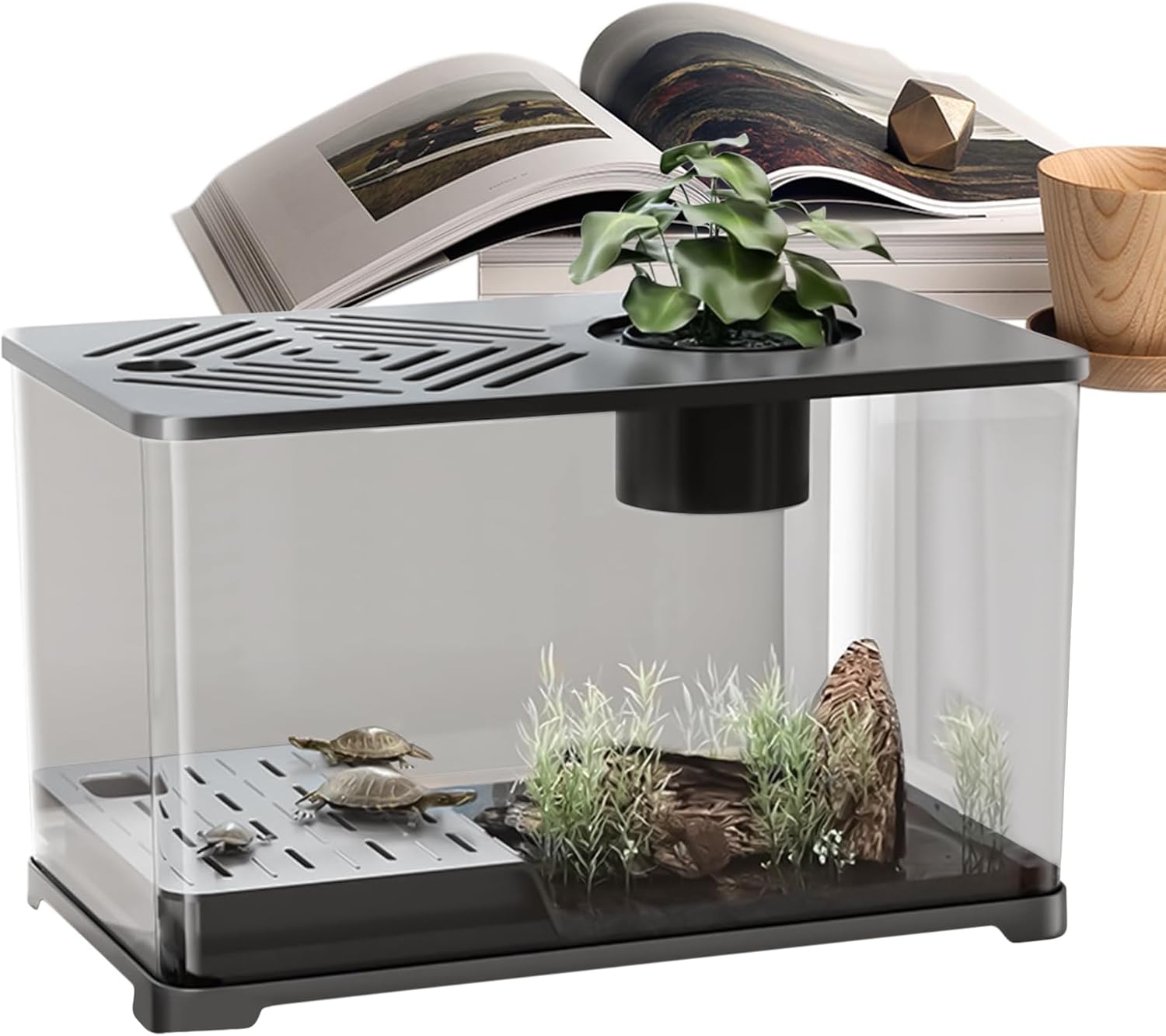 Aquarium Tank - Spacious Glass Fish Tank Setup for Betta Shrimp, Modern Desktop Habitat with Turtle Perch and LED Lighting, Ideal for Home Decor and Plant Cultivation