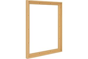 Affordable Floater Frame for Canvas Paintings (11x14 inch)