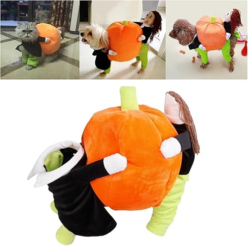 Disfraz de calabaza de Halloween para perros y gatos  Divertido disfraz de calabaza para Halloween, con calabaza, gato, perro, fiesta, disfraz de