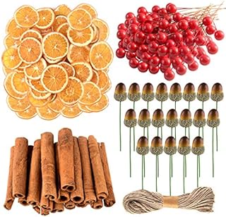 CHRORINE 210 Pcs Christmas Wreath Accessories Artificial Berries Orange Slices Acorn Cinnamon Sticks for Christmas Wreath Craft Party Decor