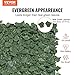 VEVOR Artificial Ivy Privacy Fence Screen, 59 x 158 in Faux Ivy Vine Leaf Hedges Fence, Greenery Privacy Fence with Mesh Cloth Backing, Green Wall Decoration for Outdoor Garden, Yard, Balcony