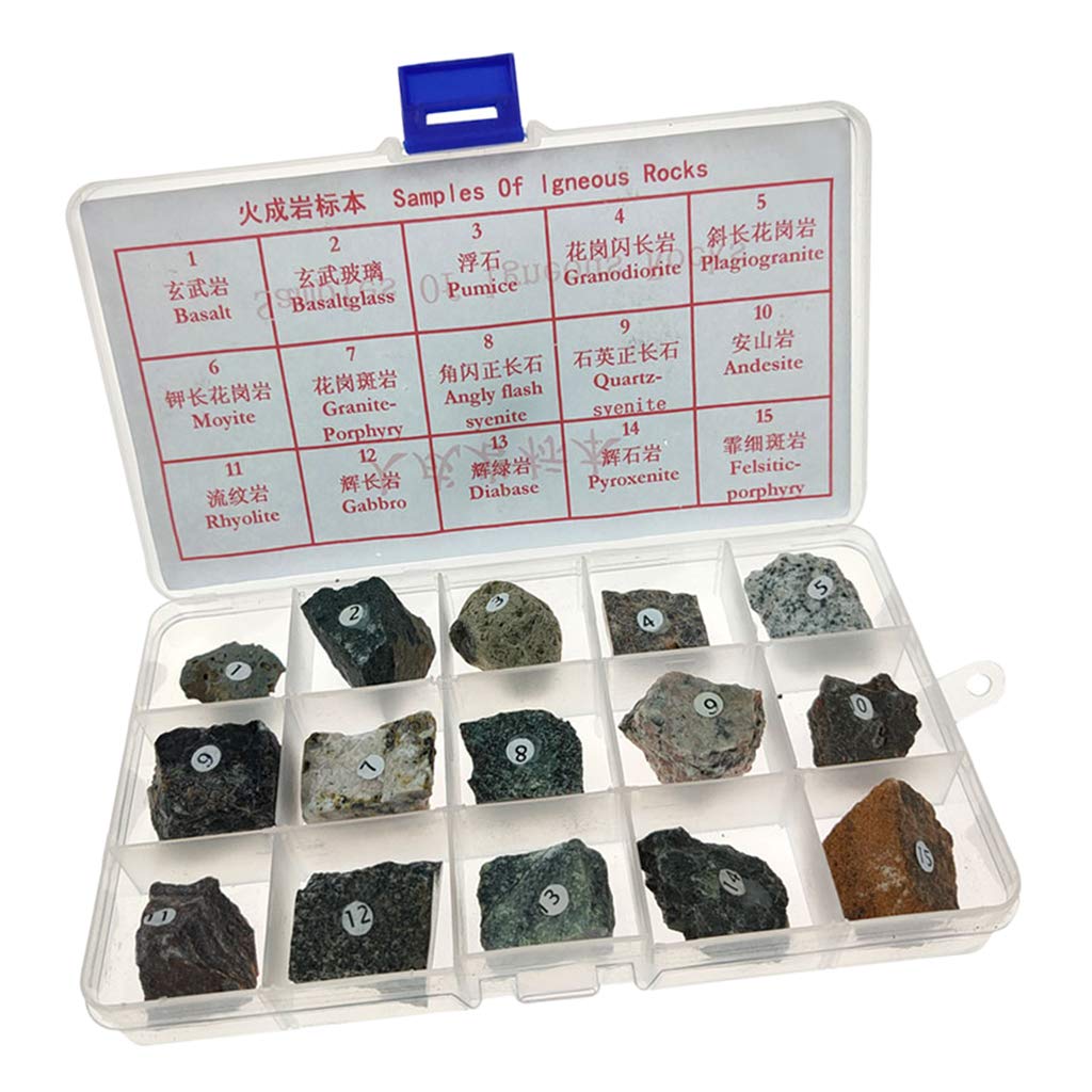 Kodxylytix Igneous Rock Specimen Igneous Real Stone Teaching Aid w/Box Ages 8 up