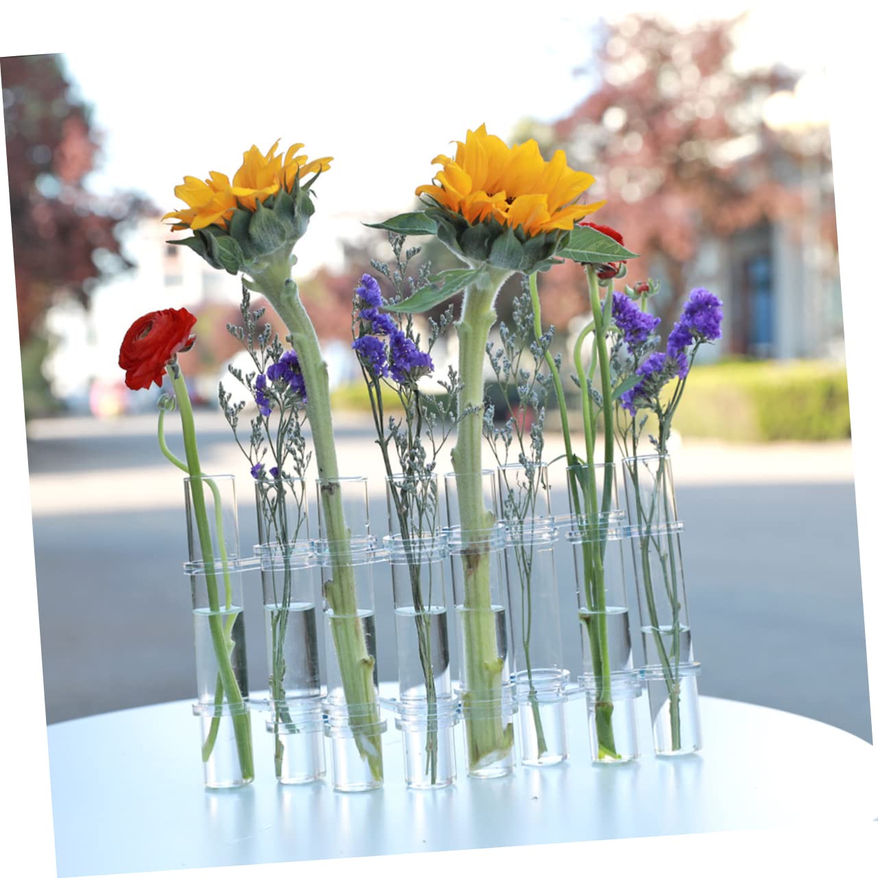 Vase à Fleurs en Verre Tube à Essai, 1 Set, pour Plantes Hydroponiques