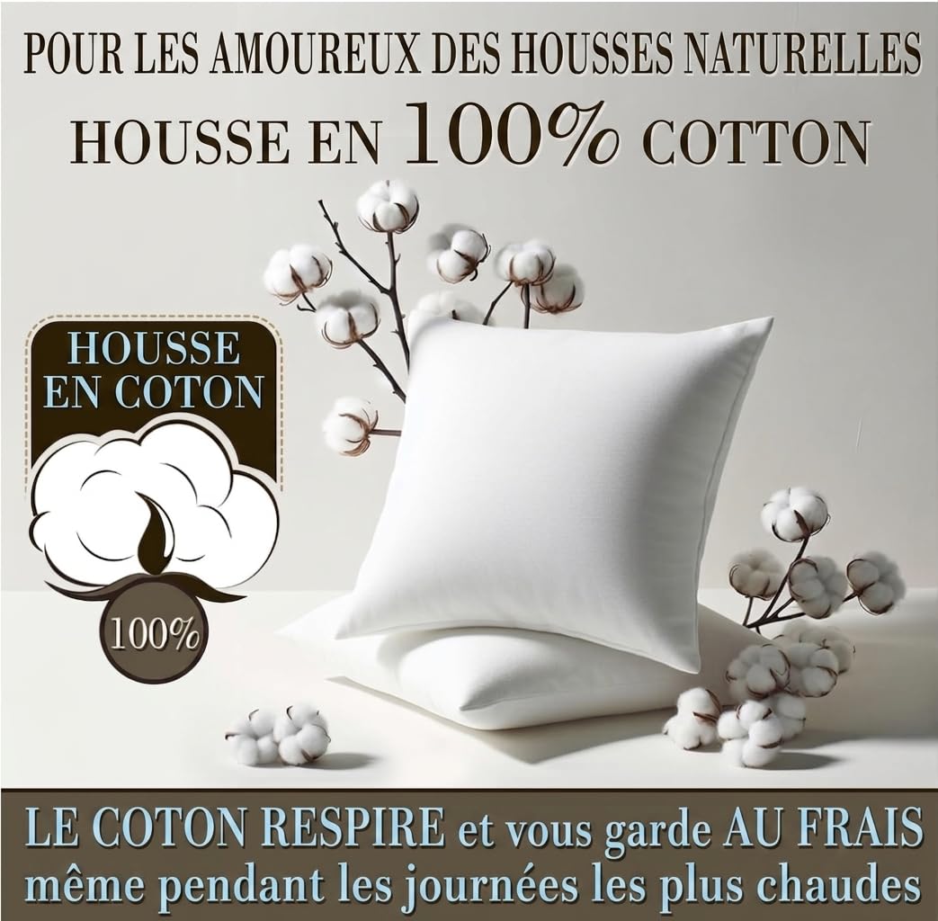 FAM’Home Oreiller 65x65 Lot de 2 | Hypoallergénique Coussin Rectangulaire Respirant et Lavable | Oreillers en Boules de Fibres Creuses en Polyester | Moelleux et Facile d'entretien | Anti Acarien