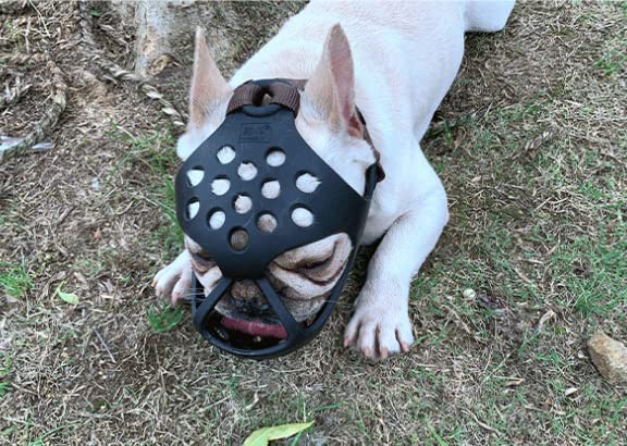 Muselière Panier pour Chiens Respirant Muselière de Chien à Museau Court avec Sangle Réglable Muselière pour Chien en Plastique Muselière Bouledogue Français Prévient L'aboiement Mâche