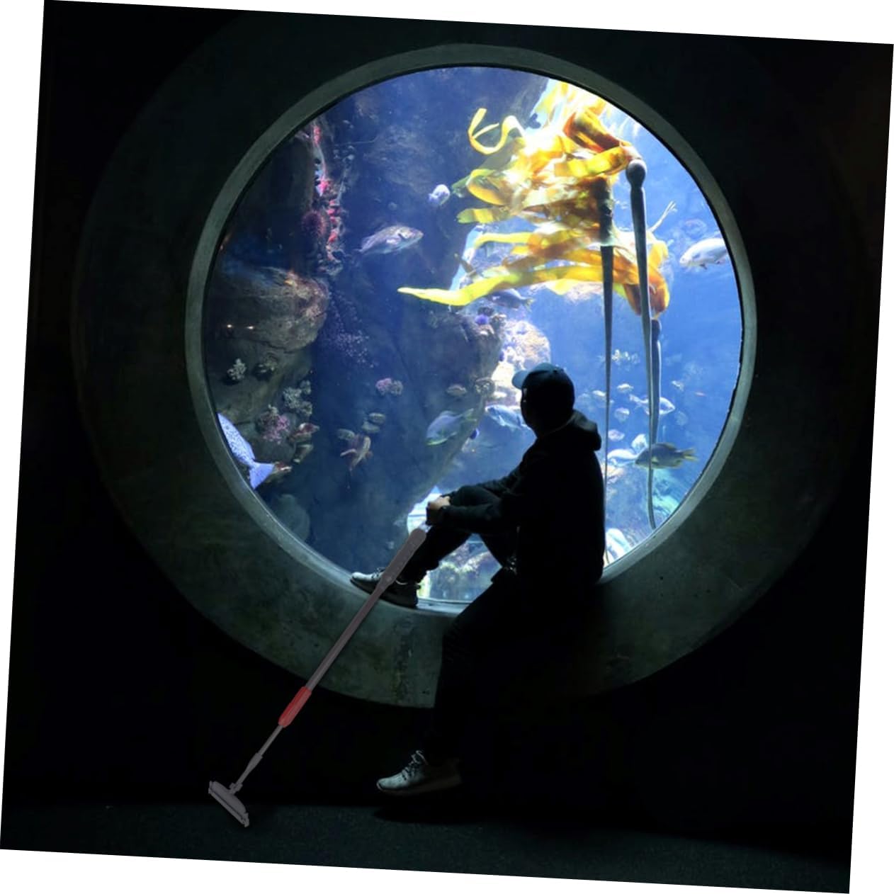 VANZACK Multipurpose Aquarium Tank Cleaning Kit Telescopic Brush Fish Net Rake Scraper for Fish Tank Maintenance Handle Detachable Design
