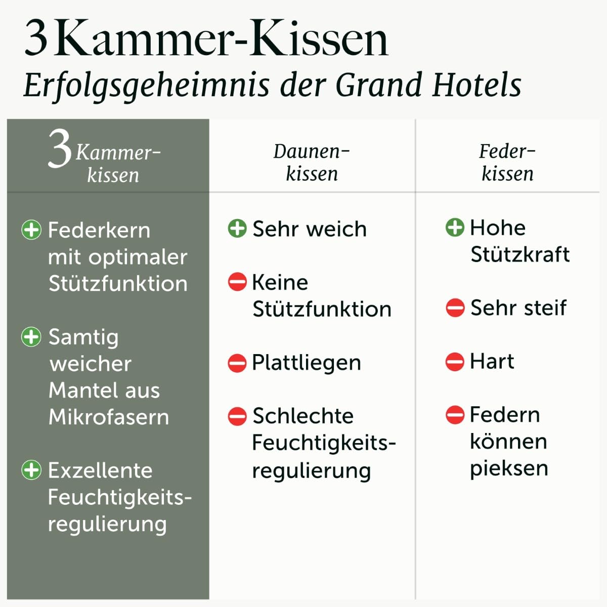 Blumtal Federkissen 80 x 80 cm 2er Set mit 3-Kammer-Füllung - Oeko-TEX zert. Kopfkissen 80x80 2er Set Federfüllung - Ultra stützender Federkern + HCS-Außenkammern - Bauchschläferkissen, Weiß