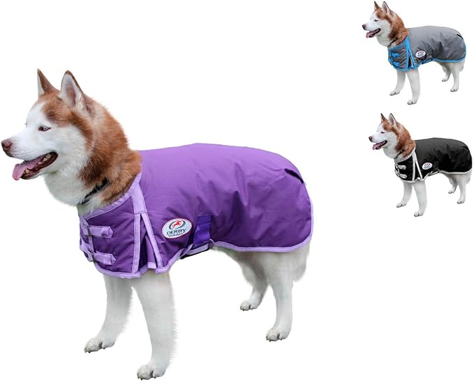 dog walk ripstop jacket