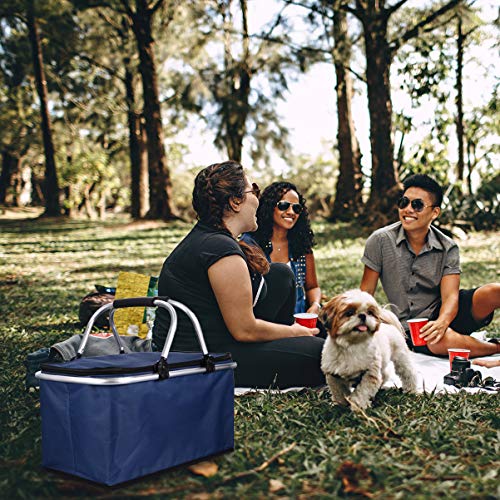 Cabilock Cesta de piquenique grande com isolamento portátil, alça de alumínio para viagens, compras,