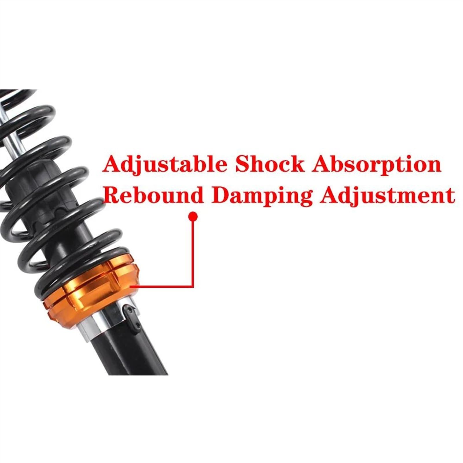 Amazon | 油圧ショックアブソーバーに適合するモンキー 12V (Z50J