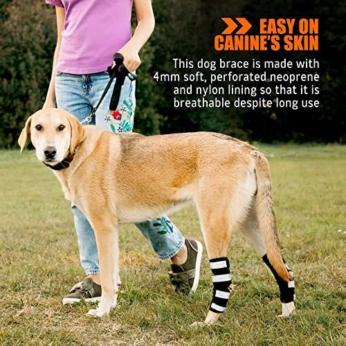 dog leg brace amazon