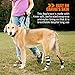 NeoAlly - Rear Leg Hock Brace with Metal Spring Strips, Dog Leg Brace for Rear Leg, Hock & Ankle Support, Rear Dog Leg Brace for Large Dogs, Long. (Both Legs, Medium)