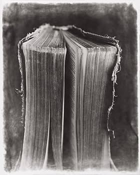 Amazon.com: The Art of Ruin: 9781936611089: Robert Stivers