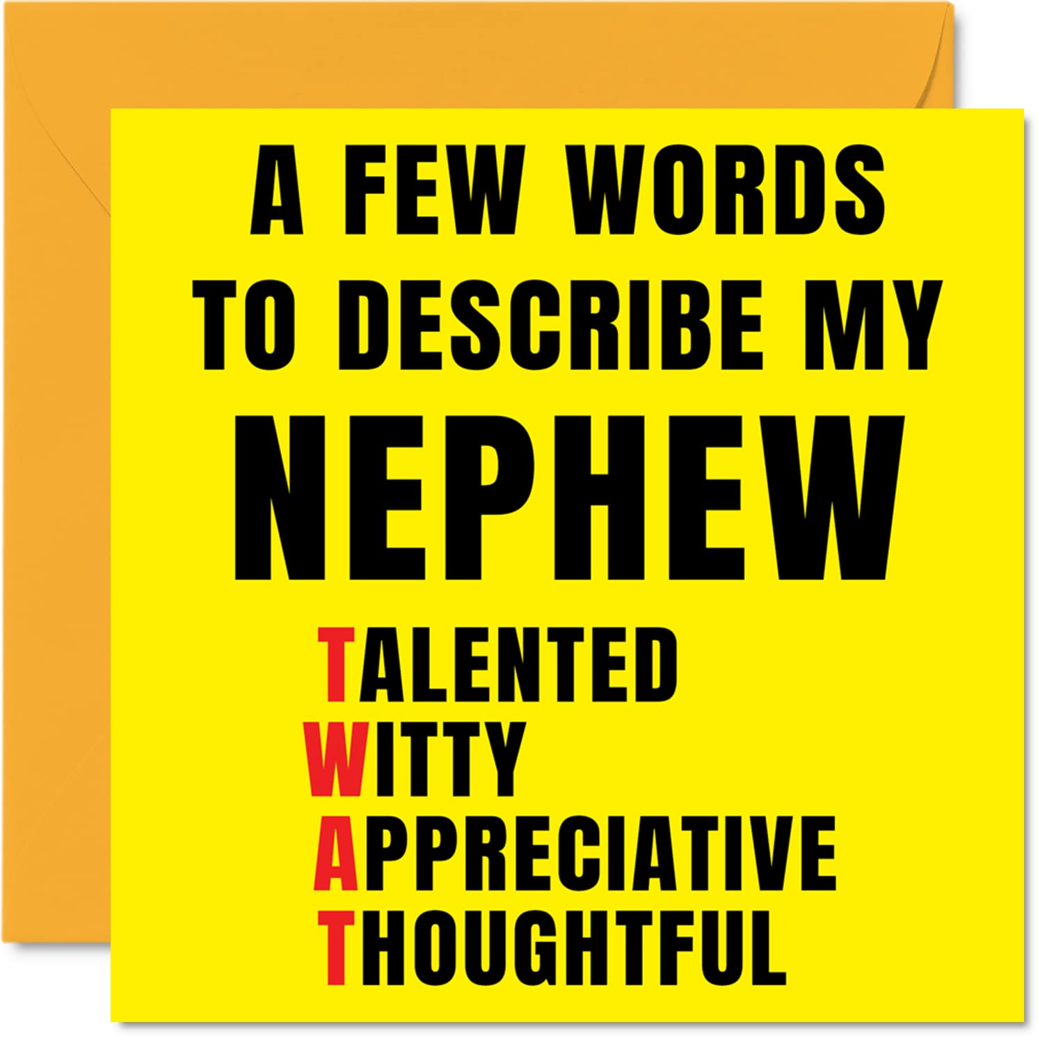 Rude Birthday Cards for Nephew - Few Words Describe Tw*t - Joke Happy Birthday Card for Nephew from Auntie Uncle, Banter Gifts, 145mm Offensive Greeting Cards Gift