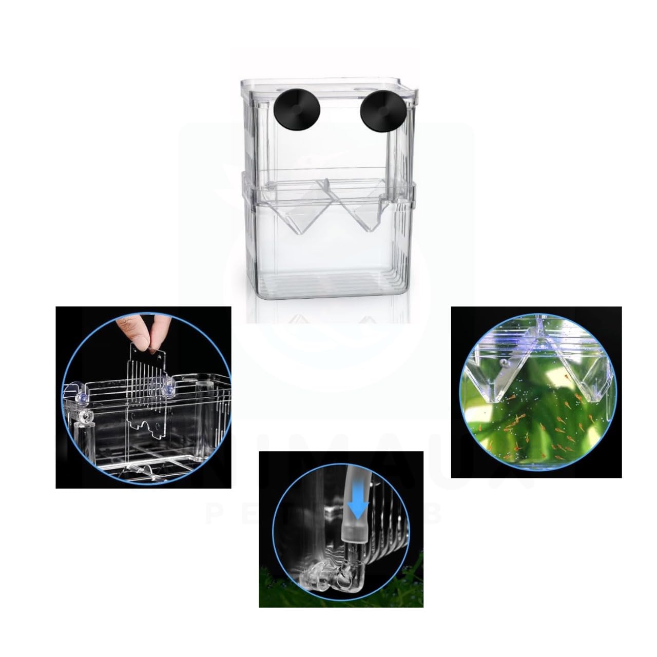 ANIMAUX PETSHUB Large Aquarium Hatchery&Breeding Box-Acrylic Isolation Divider For Baby Fish,Shrimp,And Fry With Suction Cups (B0DBV7QX74) Amazon Price History, Amazon Price Tracker
