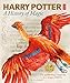 Harry Potter: A History of Magic
