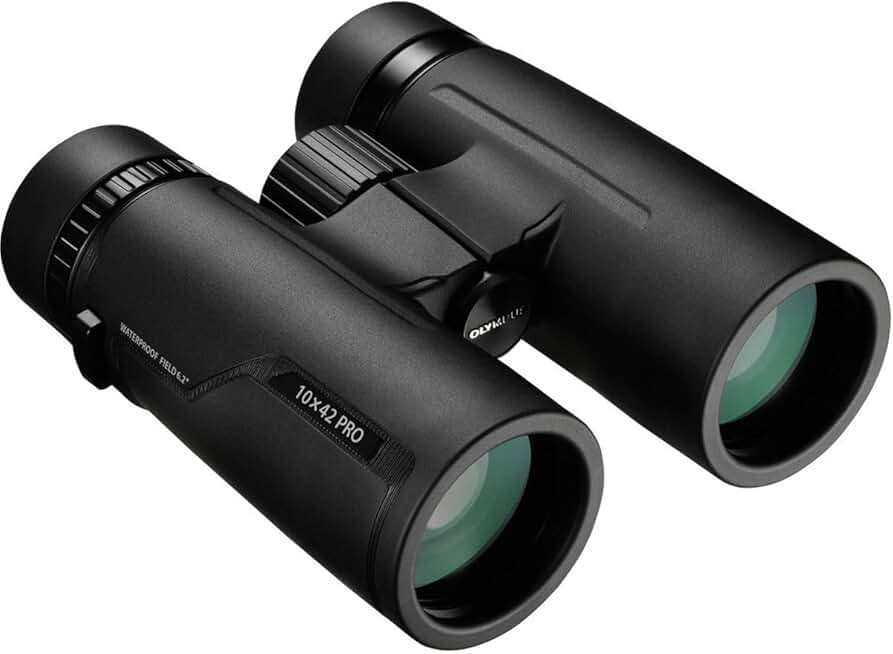 OM SYSTEM Olympus 10 X 42 PRO Binocular,Charcoal Black