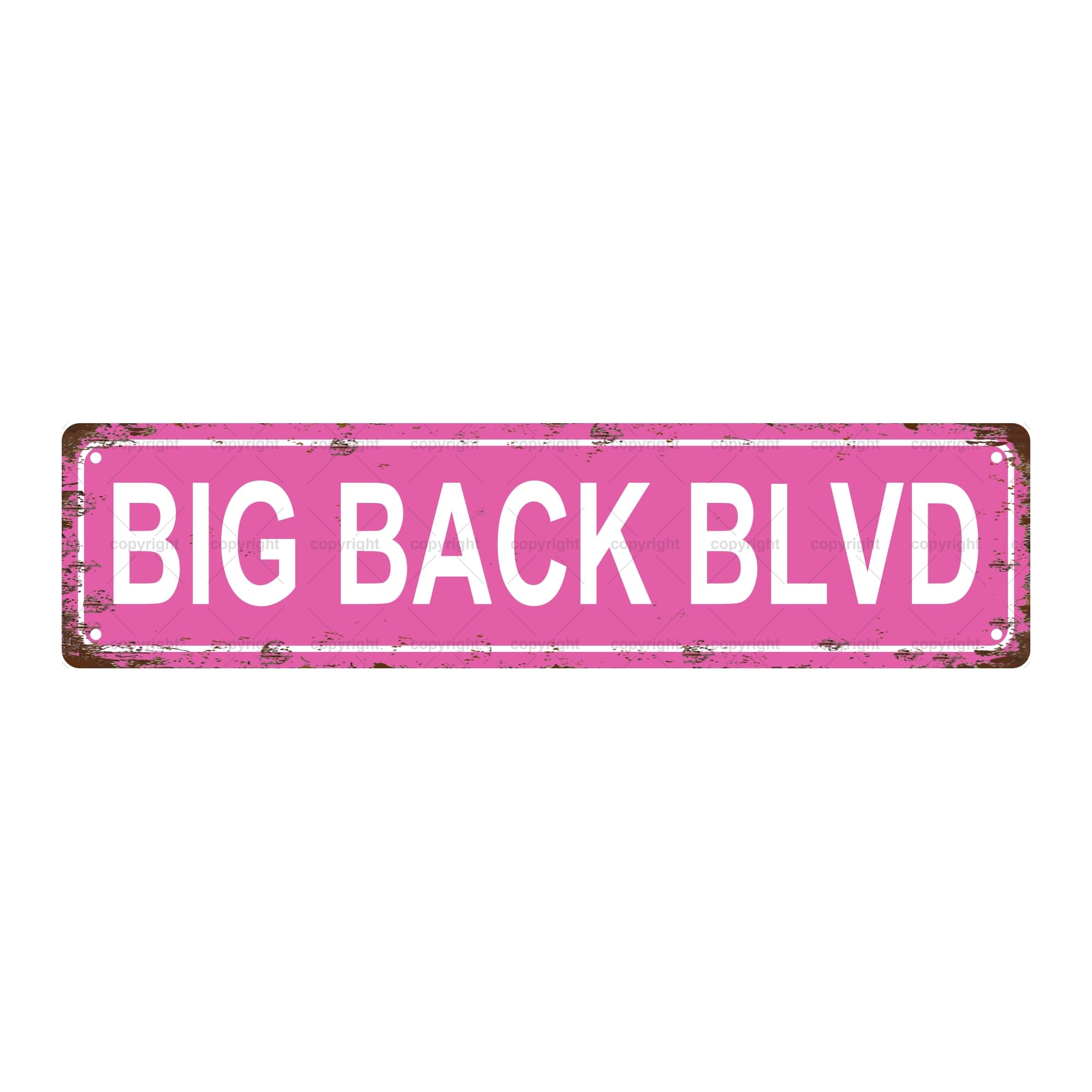 Big Back BLVD People Metal Tin Street Sign Bar Cafe Garage Cave Home Room Wall Bathroom Farmhouse Garden Porch Patio Decor,4x16 Inch