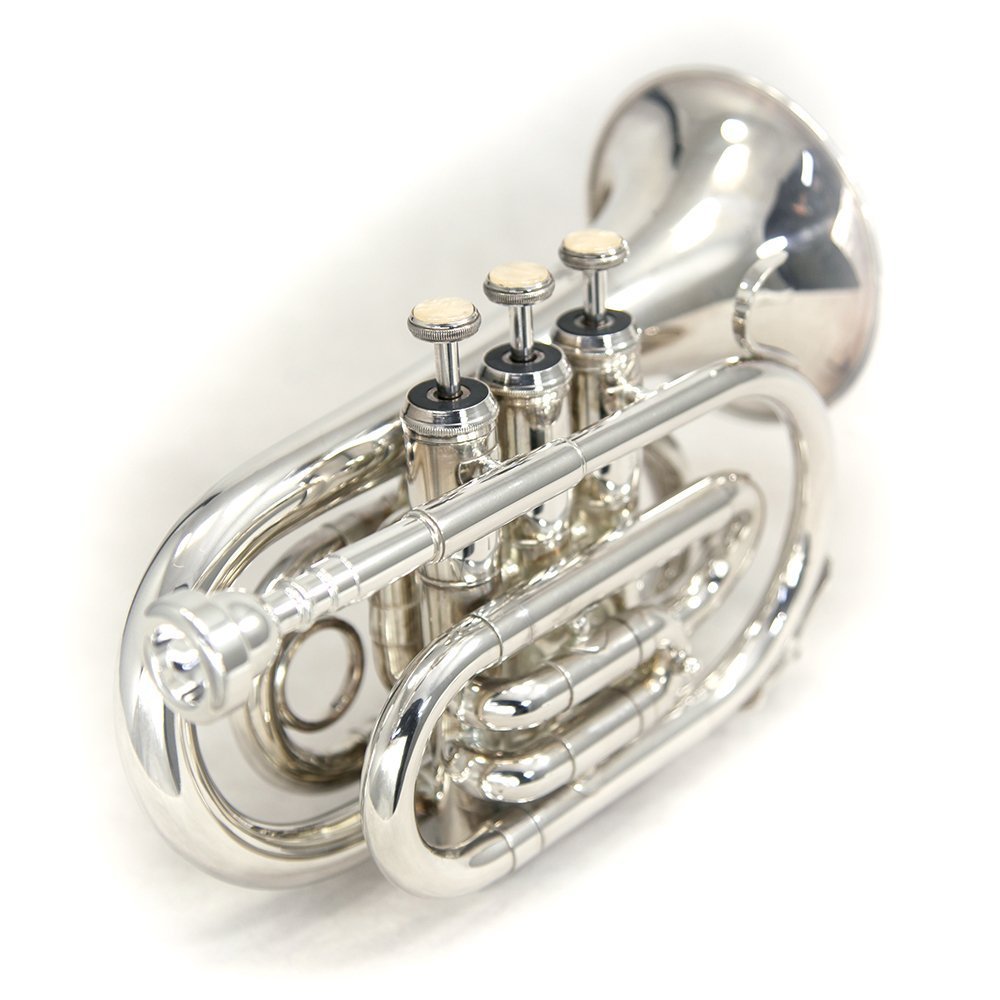 Sky Band Approved Nickel Plated Bb Pocket Trumpet with Case, Cloth, Gloves and Valve Oil, Guarantee Excellent Sound