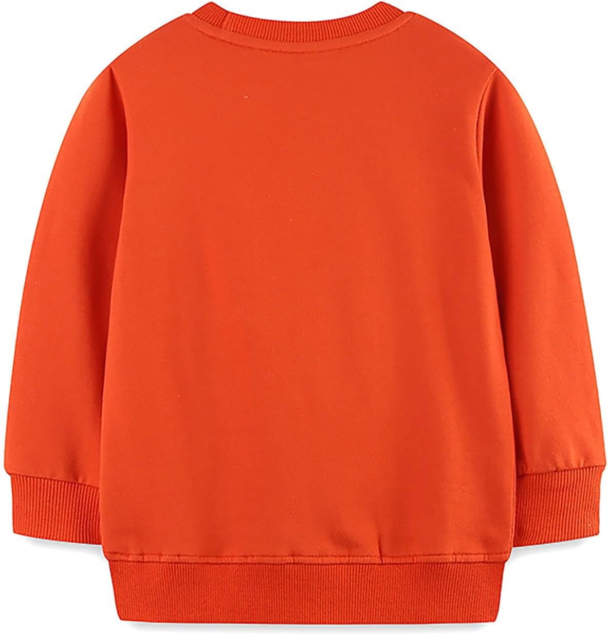 Girls' Fashion Hoodies & Sweatshirts Long Sleeve Crewneck Print Pullover Top Unisex Kids Cute Comfy Outerwear For Casual Wear