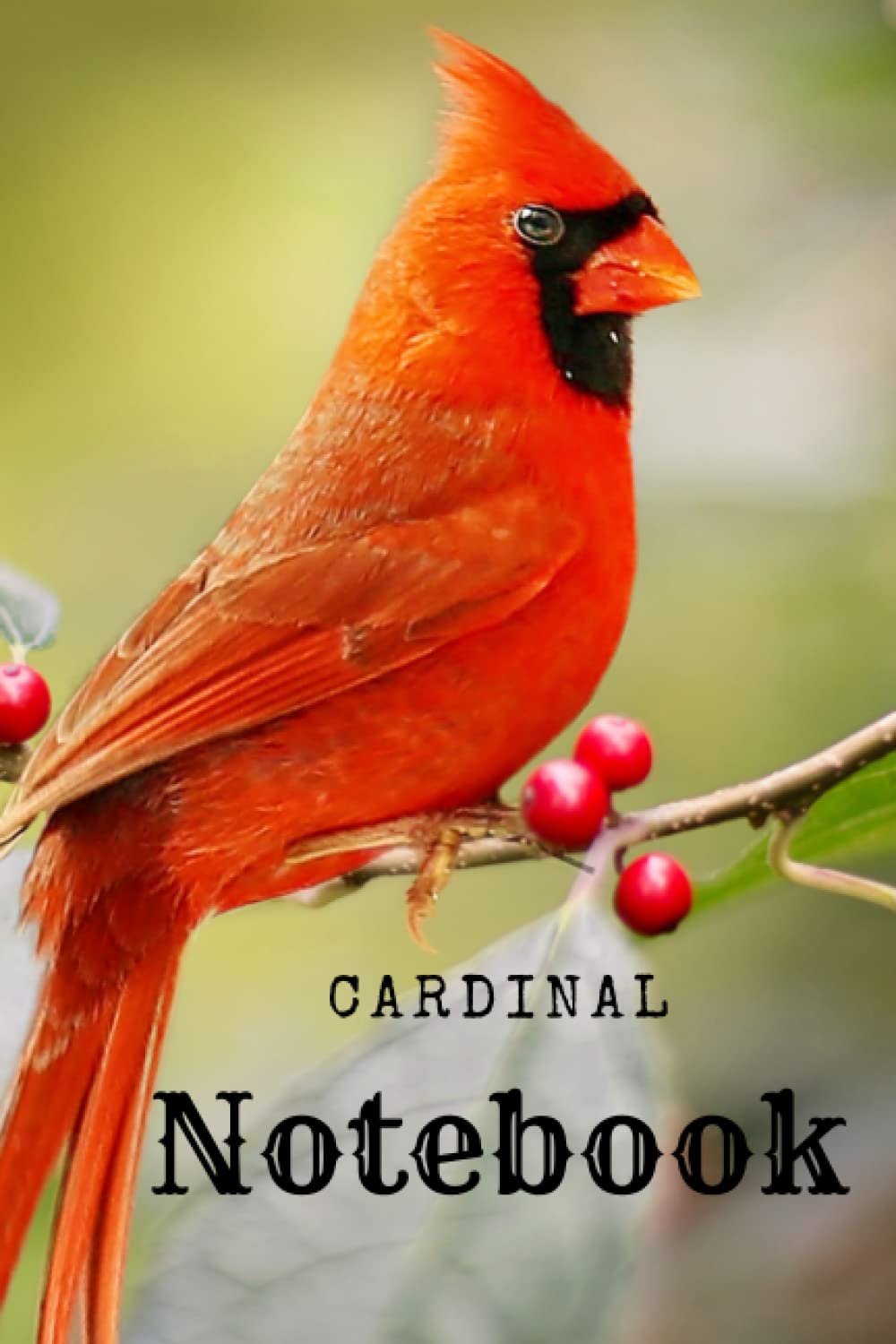 Cardinal Notebook