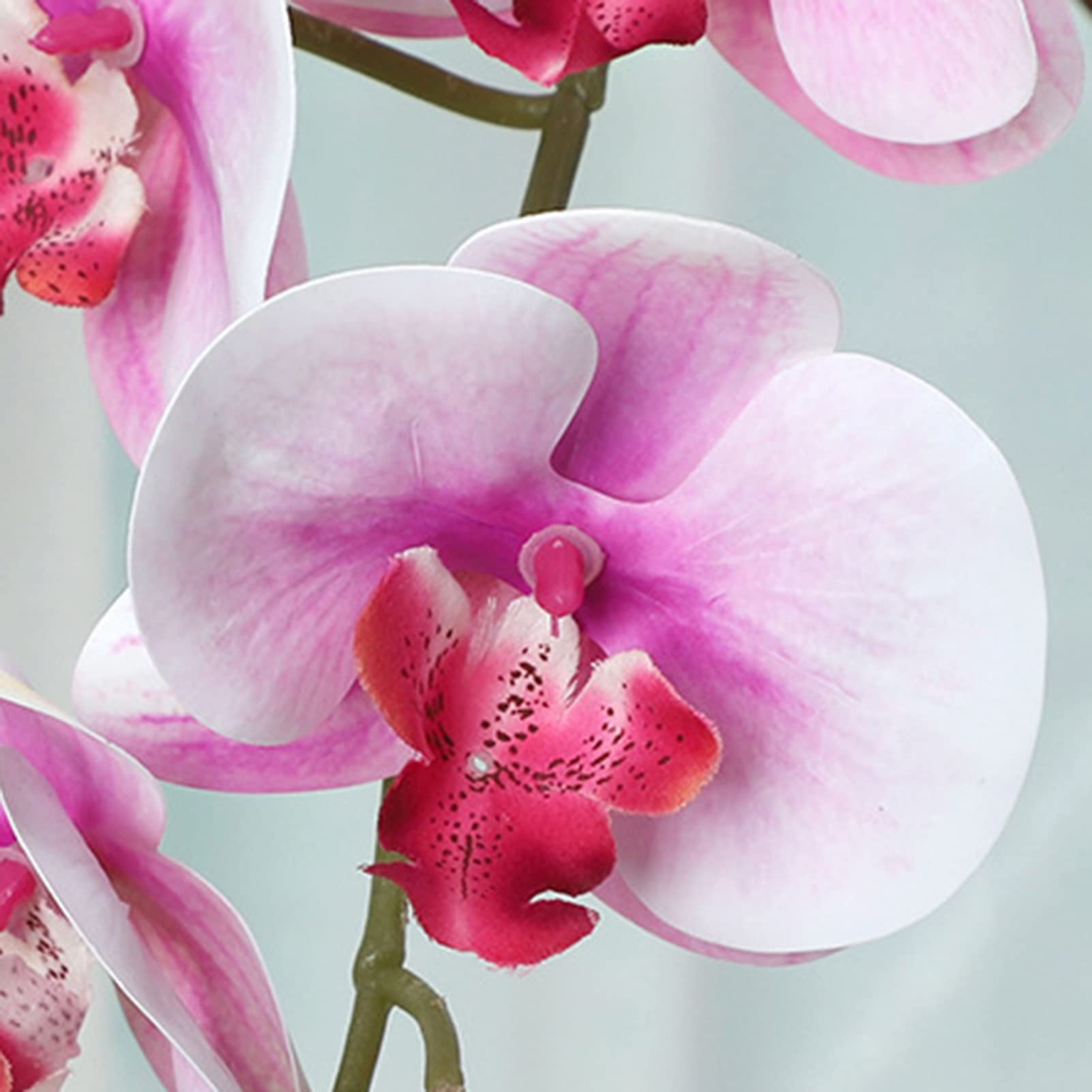 2022 Nuevas Flor Artificial Real Touch Artificial Polilla Orquídea Mariposa Orquídea Para Nueva Casa Hogar Boda Ftival Decoración De 1,51 € | DHgate