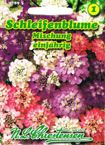 Preisvergleich Produktbild Schleifenblume Mischung , einjährig, reichblühend, für Rabatten und Gruppenpflanzungen 'Iberis umbellata'
