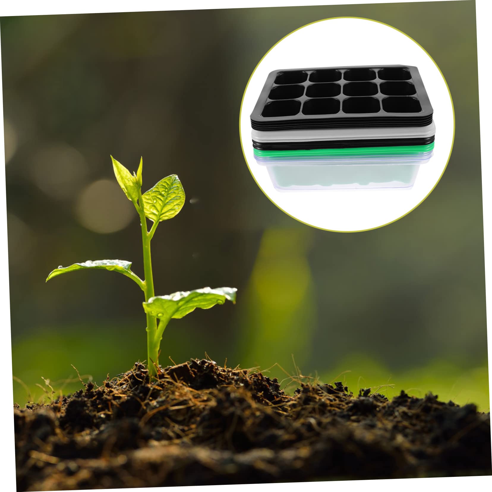BESPORTBLE 30 Pièces Boîte à semis Plantes succulentes Plateau de semis de Plantes Mini-conteneurs Coffret Jardinage bac de Culture des bacs de Germination Plateau de départ Plastique