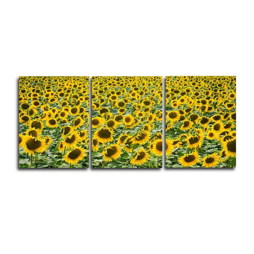 Tableau triptyque tournesol en 3 panneaux pour décoration de salon nordique