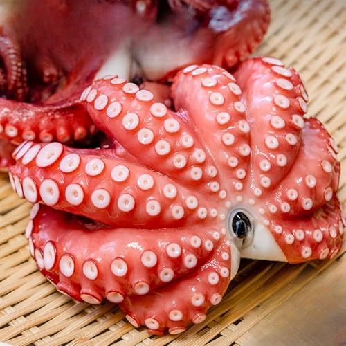 ＼大容量/ たこ 真蛸 蒸しボイル 約700g 1尾 蛸 タコ 刺身 たこ焼き たこ飯 おつまみ 海鮮[hane0009]