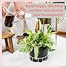 Product Photo 4